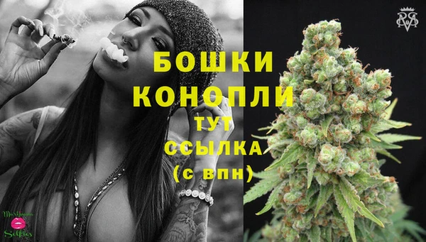 сатива Горнозаводск