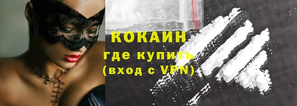 сатива Горнозаводск