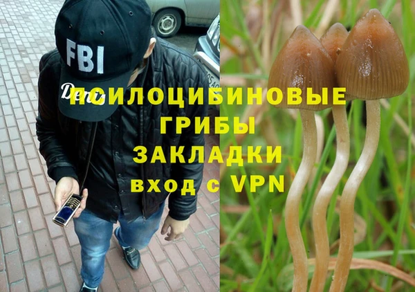 каннабис Гусиноозёрск