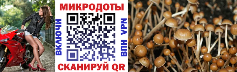 Псилоцибиновые грибы мухоморы  Купить где  Галич 